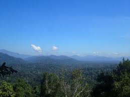 Visitors to taman negara can disembark here. View Of Gunung Tahan From Bukit Terisek Foto Taman Negara Canopy Walkway Taman Negara National Park Tripadvisor