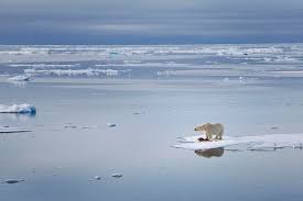 Image result for global warming photos