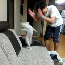 And now that i am officially a midwest resident, that basically translates to having this chicken noodle soup on the regular all. Jungkook Danced To J Hope S New Song Chicken Noodle Soup Knetizen