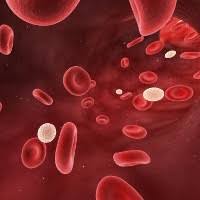 Jumlah sel darah merah yang rendah dapat berdampak buruk untuk kesehatan kita. Buah Yang Cocok Untuk Orang Anemia