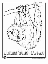 Animal coloring pages of the 9 most endangered rainforest animals, including the golden lion monkey, poison dart frog, and the manatee. Rainforest Animal Coloring Pages New Free Cute Monkey Coloring Pages Colorings In 2020 Rainforest Animals Endangered Rainforest Animals Animal Coloring Pages