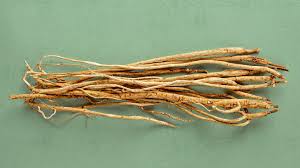 Image result for Astragalus