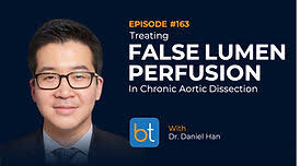 How Can AI Help with Acute Aortic Emergencies?