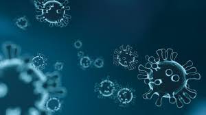 Wel is het in belgië nodig om het essentiële karakter van je reis te bewijzen via een verklaring op eer. Coronavirus Maatregelen Hechtel Eksel