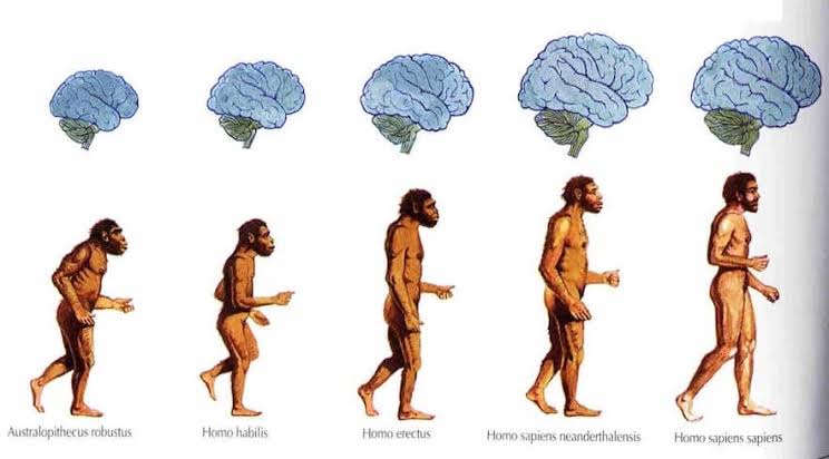 ANTROPOLOGÍA