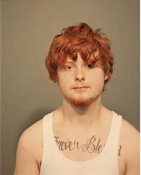 ᐅ Illinois Criminal Records 2009-2025