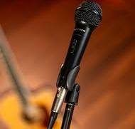 PV® MSP1 Complete Microphone with Stand Kit - XLR Cable Included