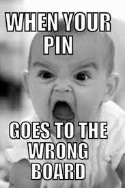 Some Funny Pictures Of The Week 50 Pictures Very Funny Pictures Funny Pinterest Humor