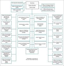 Public Health System Structure And Function Basicmedical Key