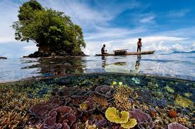 Potensi laut nusa tenggara dibuktikan dengan banyaknya jenis ikan dan terumbu karang yang tentunya pemanfaatan ini juga hari diikuti dengan pengetahuan seputar penangkapan yang baik agar. Selamat Hari Laut Sedunia National Geographic