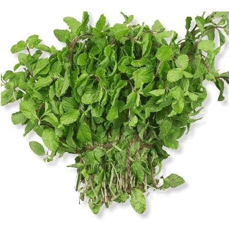 Fresh herbs