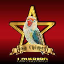 Logo Lovebird Logo Lovebird 3d Logo Vector Design Lovebird Vector Logo Love Birds 3d Logo