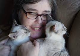 Introduction to a lutheran study group