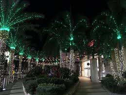 Sarasota Utc Mall Palm Tree Christmas Lights Brilliant Florida Holiday Palm Tree Christmas Lights Fun Places To Go