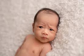 Amanda Andre Photoarts