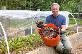 Maybe you would like to learn more about one of these? Best Mulch For A Vegetable Garden Three Top Choices Joegardener