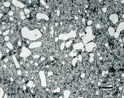O1 has additions of about 1.2% mn, 0.5 prior to austenitizing and quenching, the steel can have a variety of different microstructures. Revealing The Microstructure Of Tool Steels