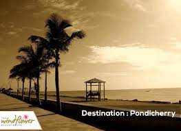 The Windflower Pondicherry Is Perched Between Backwaters And Bright Blue Ocean Stroll Along The Beach If The Mood Strikes You Picturesque Resort Blue Ocean