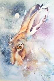 Dusky Hare In Loose Background In 2020 Animal Art Watercolor Animals Animal Drawings