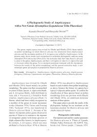 Image result for Amphicarpaea africana