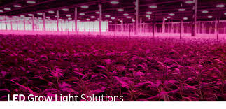 Maybe you would like to learn more about one of these? Led For Horticolture Aec Grow Light