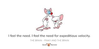 These were some of our top picked pinky and the brain quotes, keep following the quotepedia for more wonderful and motivational quotes. Quote Hamster On Twitter More Pinky And The Brain Quotes Https T Co J6gopibalm Quote Quotes Quotesdaily Quoteslike Cartoon Cartoons 90s Classic 90skid 90slove Nickelodeon Tv Fridaymotivation Fridaythoughts Fridayvibes Fridayfeeling