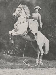 Therese Renz 1859 1938 Of The Renz Circus Family Of Berlin Riding Sidesaddle Not Recommended Very Dangerous Vintage Horse Horse Posters Horses