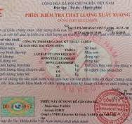 Giấy Chứng Nhận Xuất Xưởng Là Gì? Tại Sao Cần Có Giấy Chứng Nhận