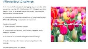 Maybe you would like to learn more about one of these? Random Acts Of Flowers Archives Greenhouse Grower