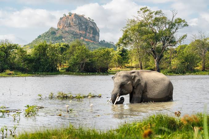 13 best places to visit in Sri Lanka - Lonely Planet