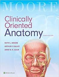 Clinically Oriented Anatomy 8th Edition Pdf Version Anatomy Ebook Pdf Diagnostic Imaging
