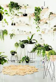 Plants For A Lovely Home Room With Plants Plant Decor Indoor House Plants Indoor
