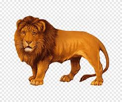 We did not find results for: Singa Menggambar Lukisan Cat Air Bokmxe4rke Singa Lukisan Cat Air Mamalia Png Pngegg