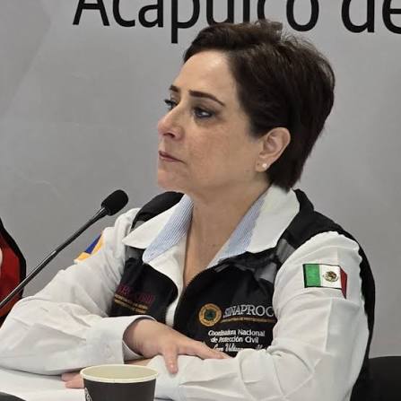 Laura Velázquez Alzúa added a new... - Laura Velázquez Alzúa