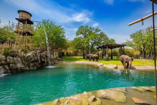 Habitats | Fort Worth Zoo