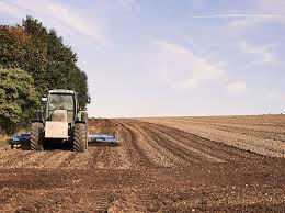 Land Clearing