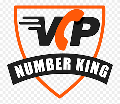 Coloring pages by number is a great way to teach your children or students the recognition of basic numbers, how to use a legend, and it will give them the opportunity to work on their fine motor skills. Fancy Numbers Vip Numbers Free Transparent Png Clipart Images Download