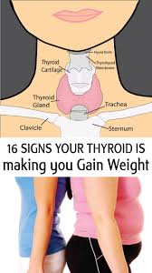 Pin On Exercise For Thyroid Problems