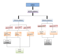 Organizational Chart Gsdma