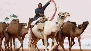 The surgical principles of plastic surgery remain focused on preserving vascularity, replacing like tissue with like tissue, respecting anatomic zones the modern definition of plastic surgery is rooted in ancient medicine. Camels Banned From Saudi Beauty Contest Over Botox Bbc News