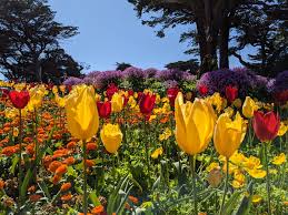 The End of the First Chapter of my Career Break