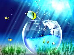 Maybe you would like to learn more about one of these? Beautiful Wallpapers Free Download Group 84