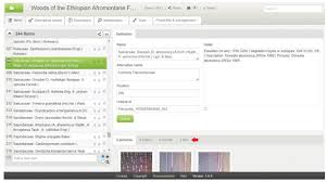 Image result for Osyridicarpos