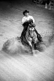 What Is The Most Popular Horse Breed For Reining Reining August 25th Copyright Sindy Thomas Reining Horses Horse Pictures American Quarter Horse