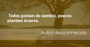 Mas acho que o meu apocalipse tem tudo a ver. Frases Do Meio Ambiente Frases Natureza Meio Ambiente Meio Ambiente Frases