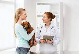 The bayer seresto flea and tick collar for large dogs has a revolutionary formula, that allows for its formulation of flumethrin and imidaclorid to be safely released at a constant rate into the dog's system. Flea Collars Vs Flea Medication Flea Collars Vs Flea Medication