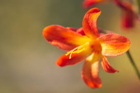 Pin On My Photos