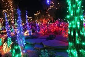 Beautiful christmas light at ethel m cactus garden, address: Ethel M Chocolates Begins Annual Tradition Of Decorating Its Botanical Garden