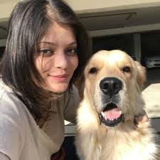 His nails are trimmed, all his shaggy hair has been trimmed out, and his fur has a wonderful sheen and smell. The Best Pet Groomers In Maharashtra Starofservice