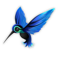 Key Google Hummingbird Update Changes A New World Of Seo Hummingbird Art Hummingbird Drawing Humming Bird Art